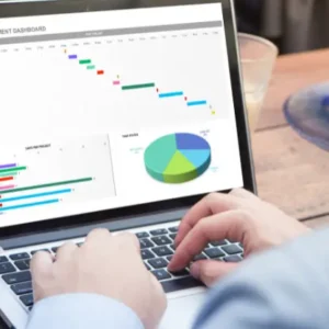 Advanced Excel Pivot Table, Pivot Charts, Slicers and Timelines