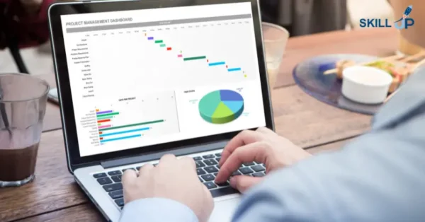 Advanced Excel Pivot Table, Pivot Charts, Slicers and Timelines