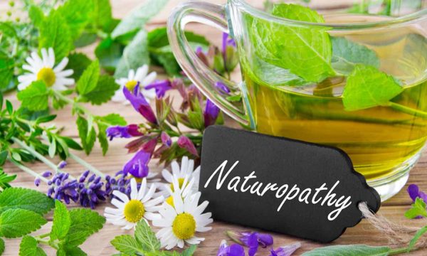 Naturopathy Online Course - CPD Accredited