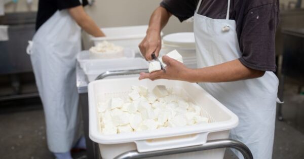 Cheese Making