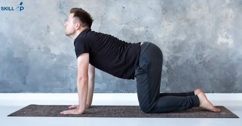 Cat-Cow (Chakravakasana) Image