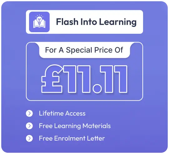 11.11 Flash Sale Pricing