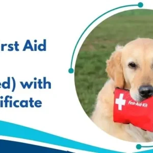 Animal First Aid Course (Advanced) with Free Certificate