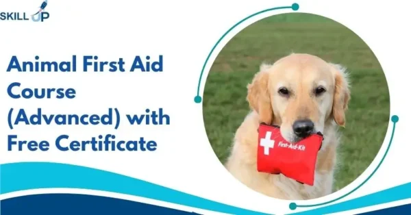 Animal First Aid Course (Advanced) with Free Certificate