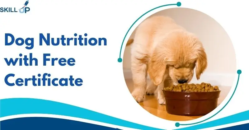 Dog Nutrition with Free Certificate