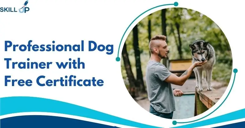 Professional Dog Trainer with Free Certificate