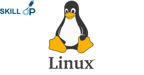 Linux for Absolute Beginner